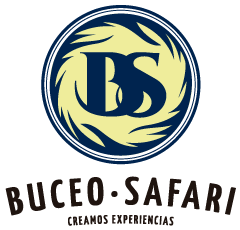 Buceo Safari