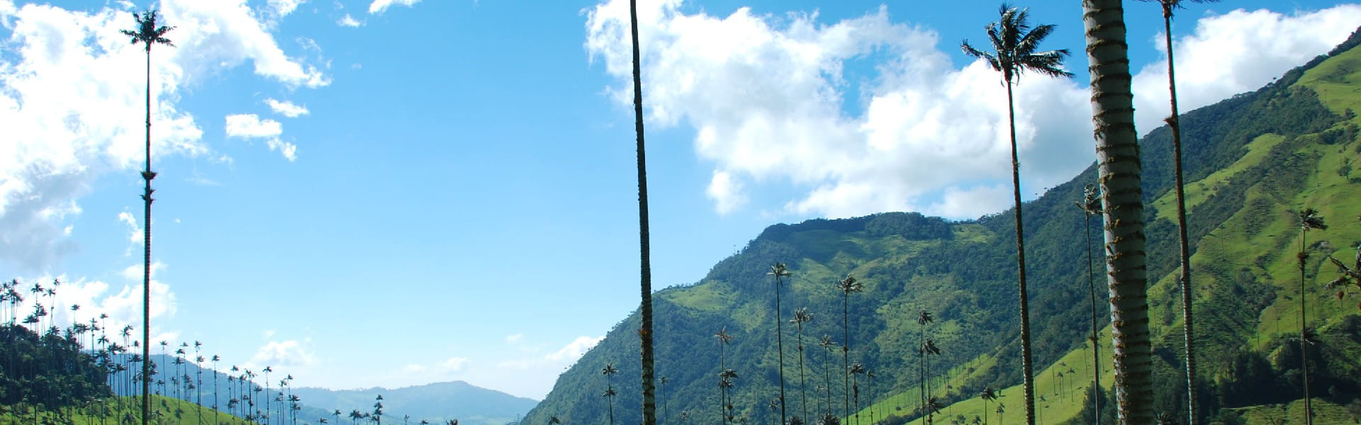 Valle del Cauca