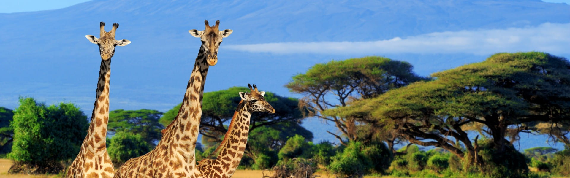 Amboseli
